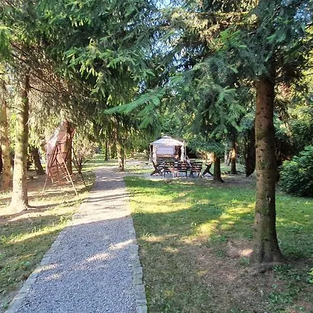 Pod Papiernia Leki (Oswiecim)