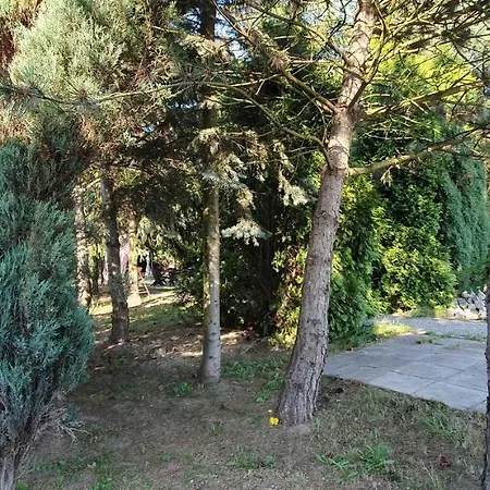 Pod Papiernia * Leki (Oswiecim)